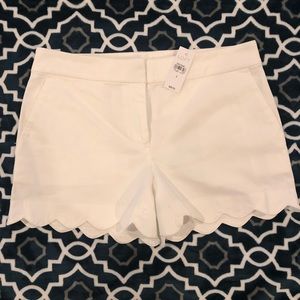 LOFT Scalloped Riviera Short 4” Inseam - White
